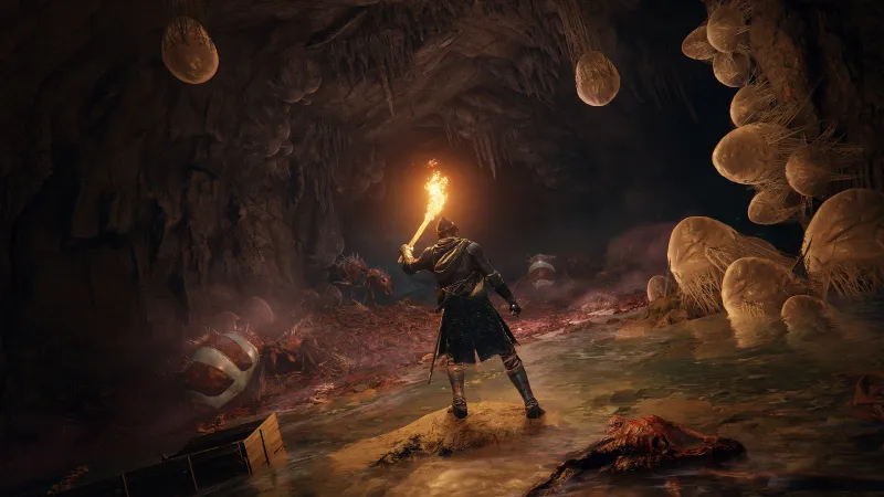 How Elden Ring 'Spirit Body' Companions Work 