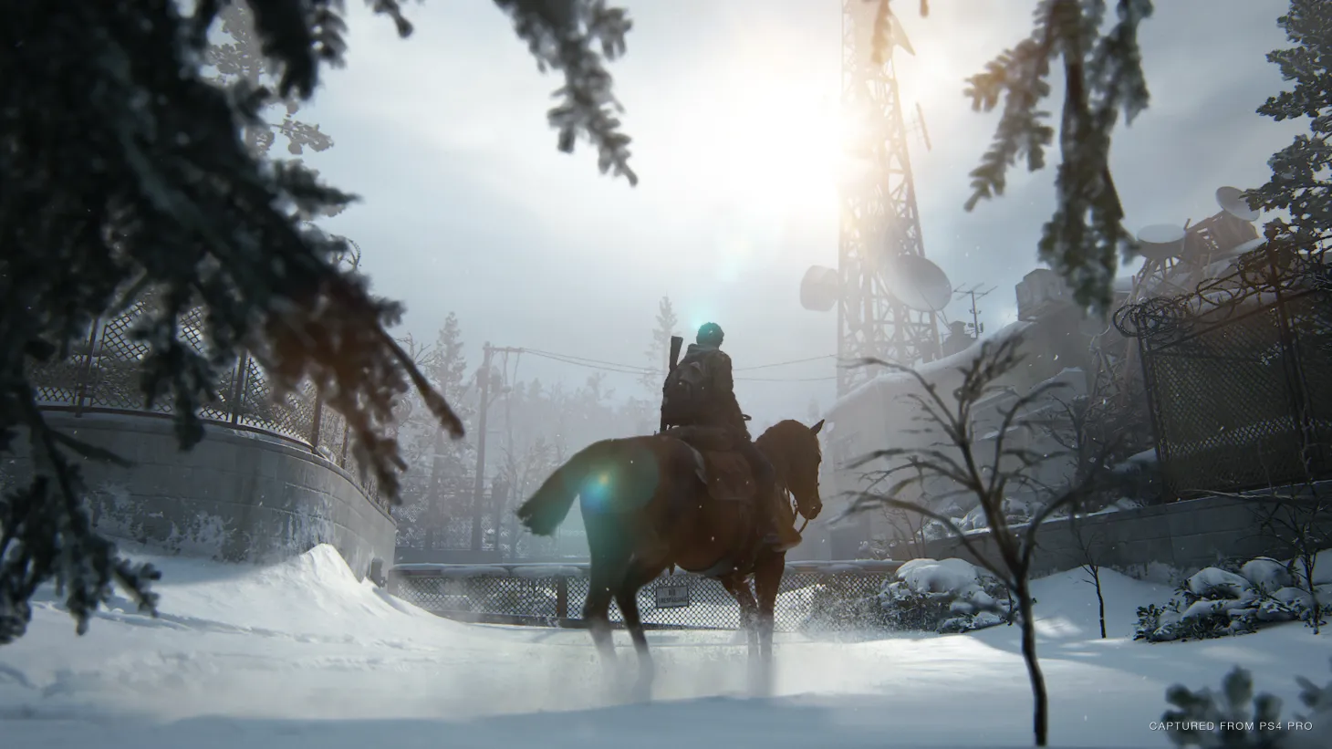 Prepare For Last Of Us Part II With These 10 Movies, Books, And More