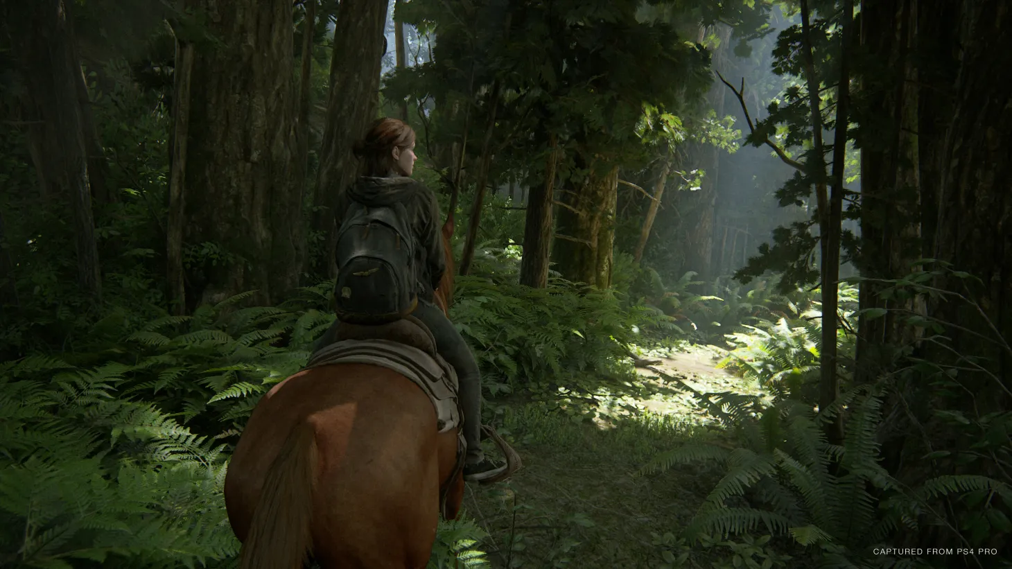 Naughty Dog Shows Tantalizing New Glimpse At The Last Of Us Part II