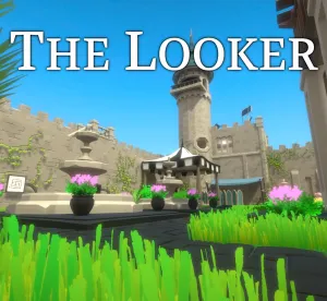 The Looker
