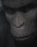 Planet Of The Apes: Last Frontier