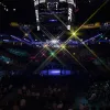 EA Sports UFC 4