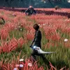 Edge of Eternity