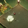 Game Informer