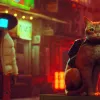 Stray