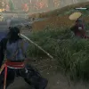 Rise of the Rōnin