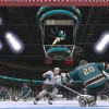 NHL 2K9