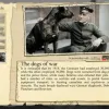 Valiant Hearts: The Great War