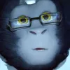 Overwatch